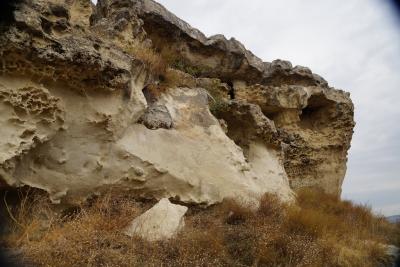 Прикрепленное изображение: A58DSC00961-1.jpg